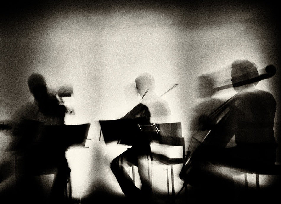 Waves Of Music