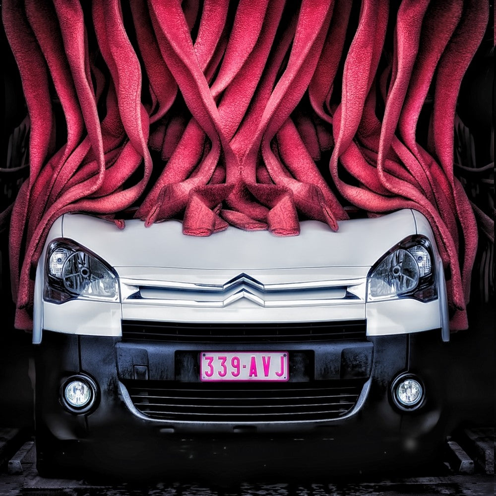 the girl's car