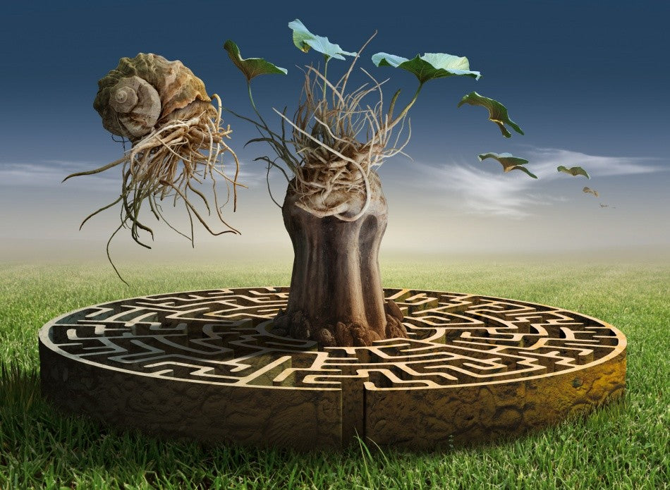 Labyrinth