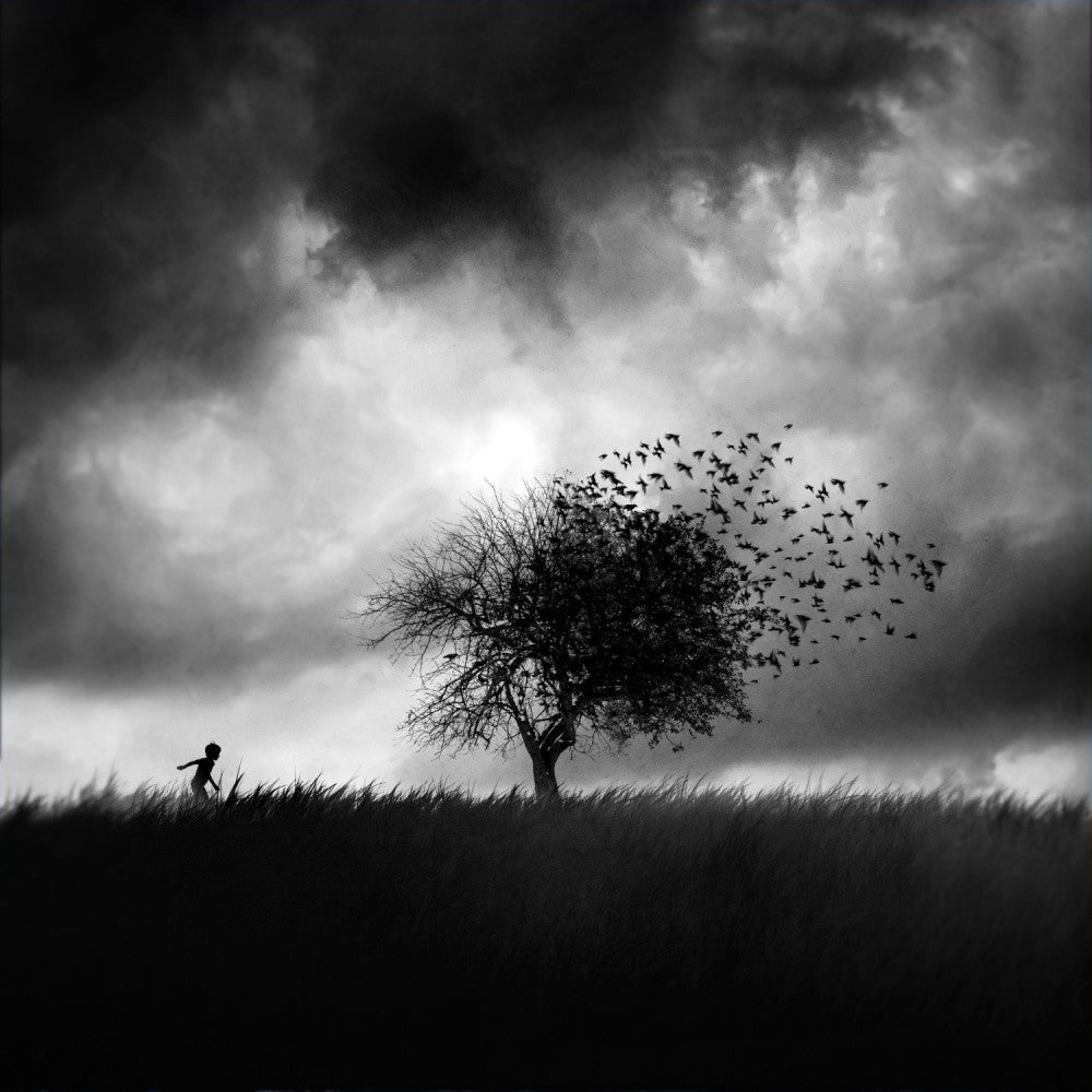 Printemps Perdu