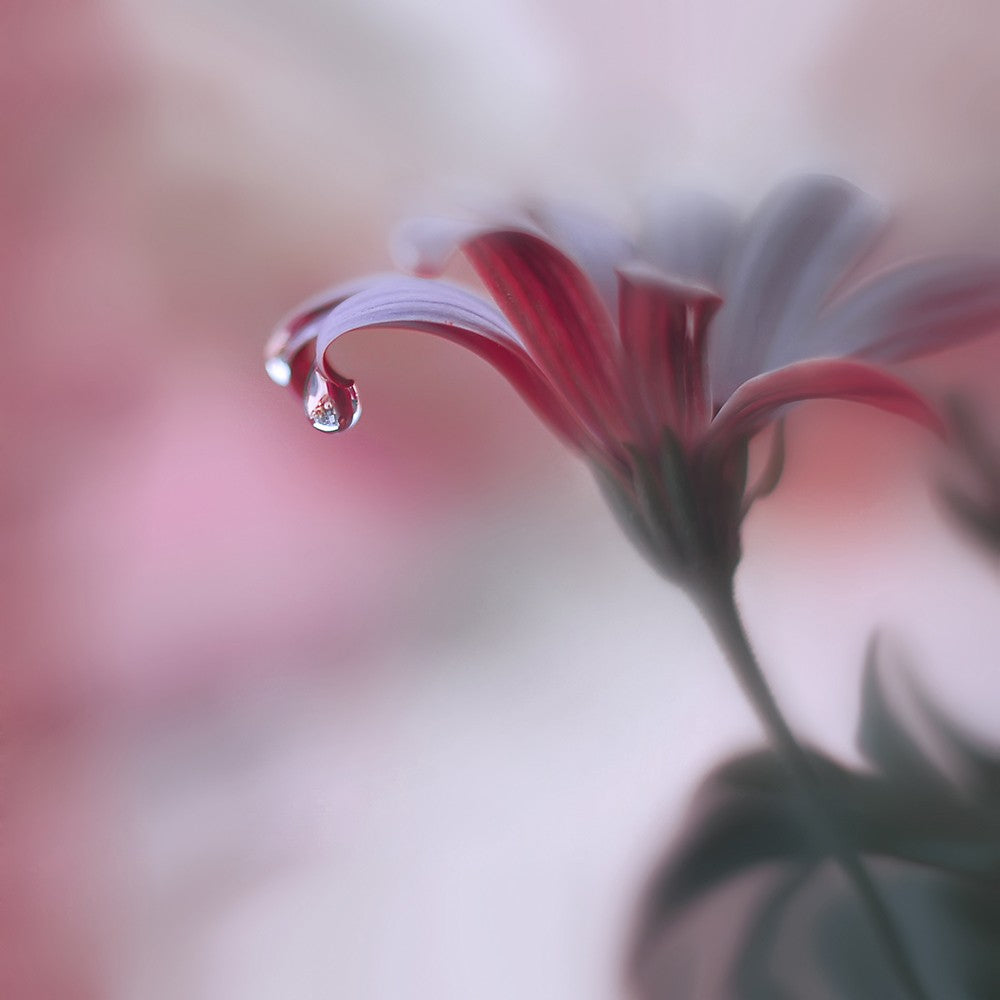 Invisible Touch...