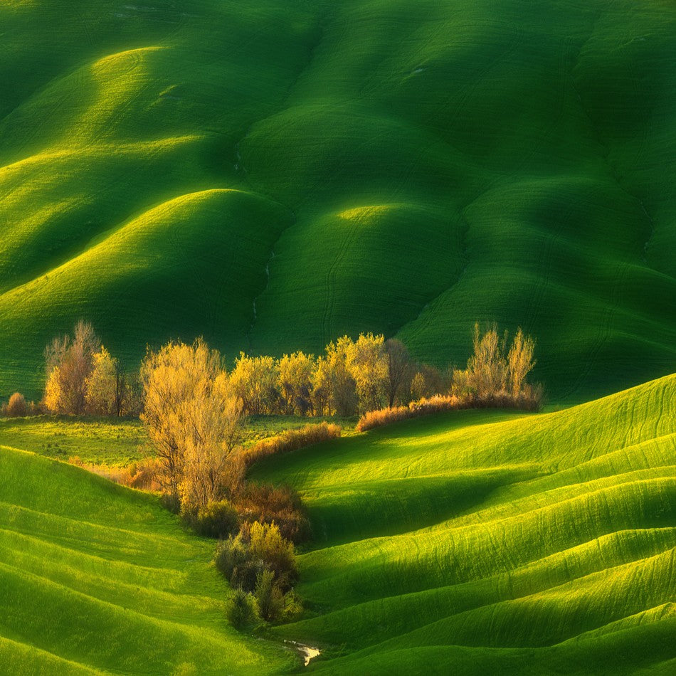 Spring on fields...