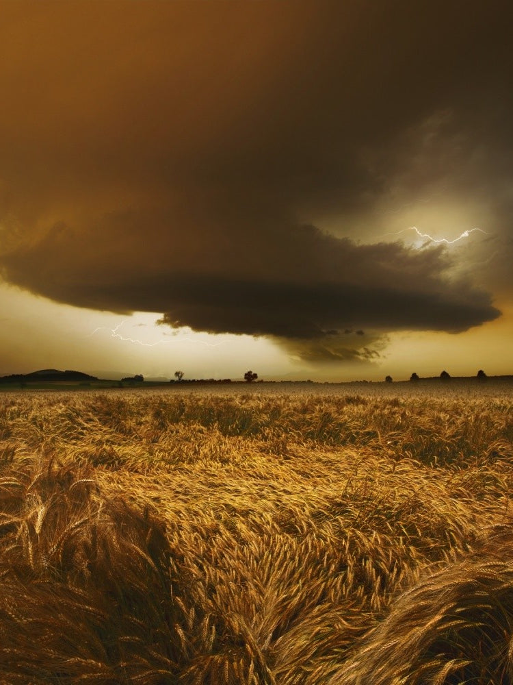 Spaetsommer Stimmung