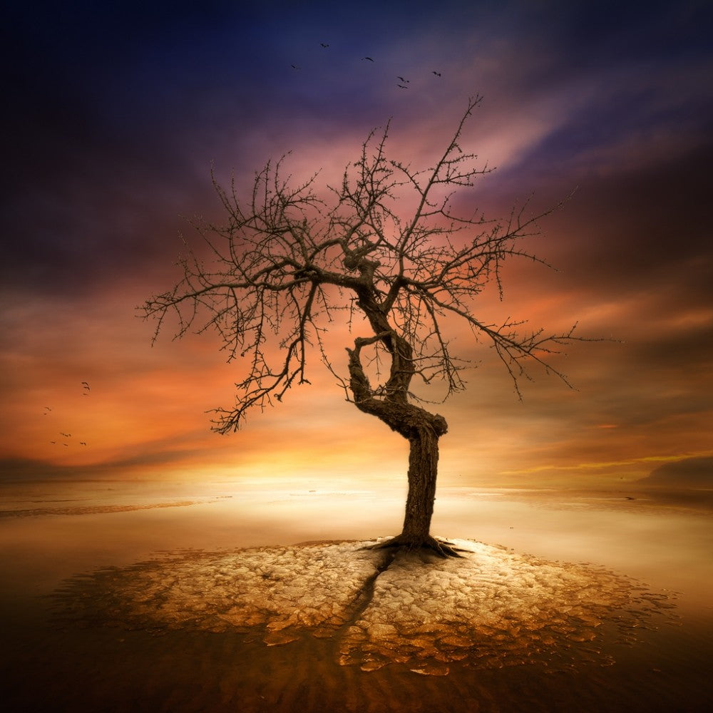 Lonely