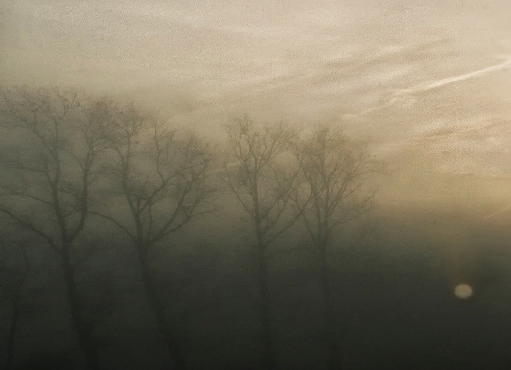 Autumn's poet song ...