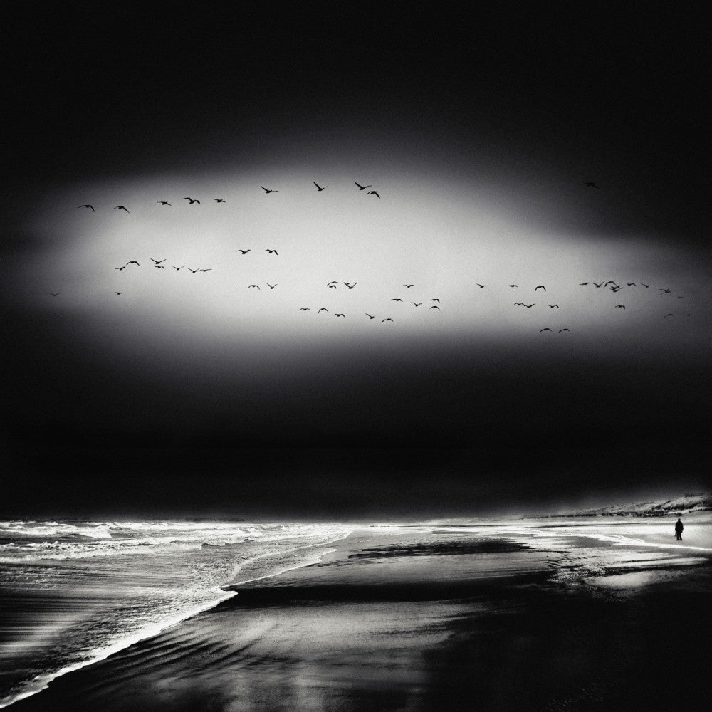 the song of the wet sands