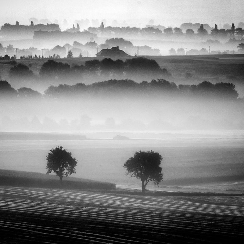 Brumes matinales