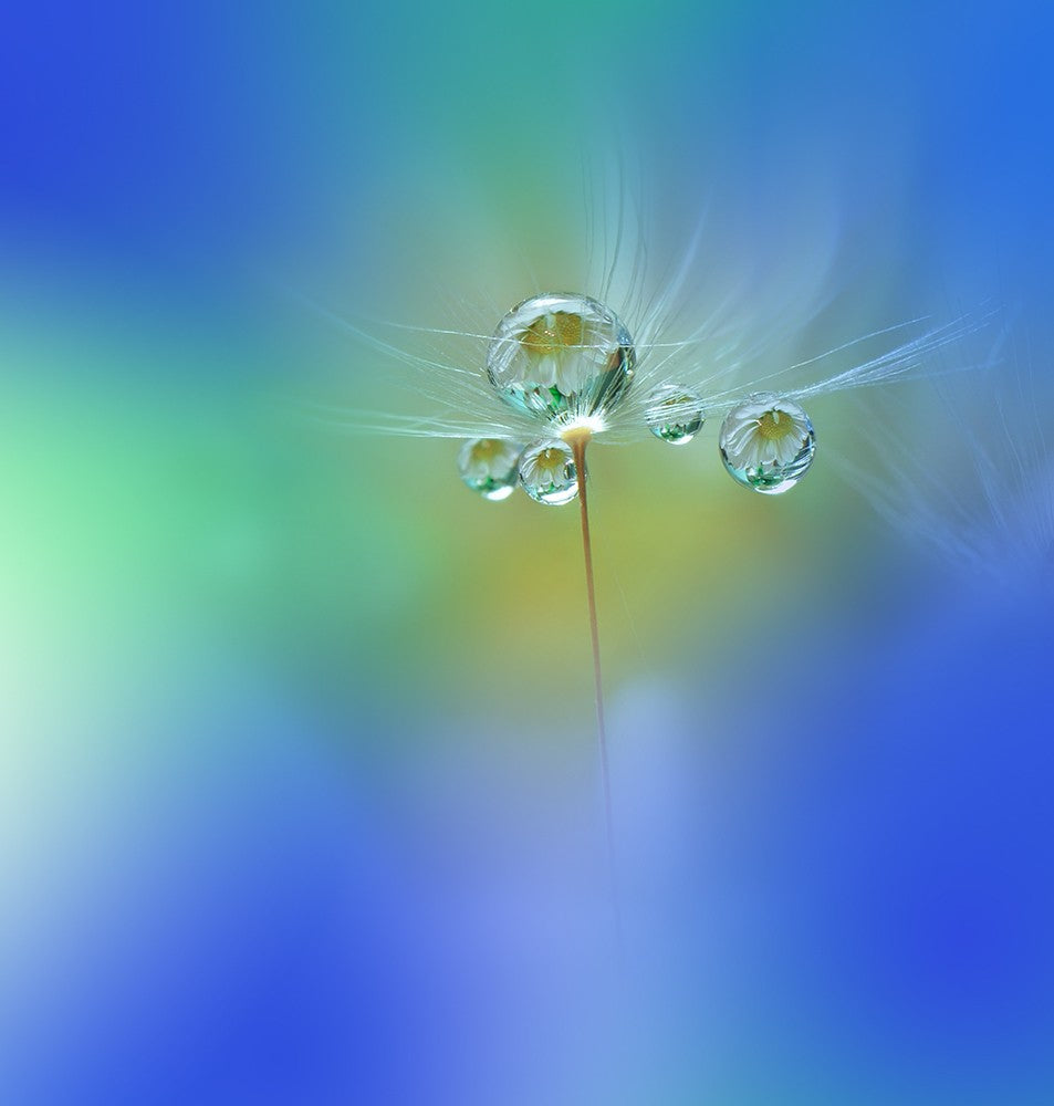 World of Drops