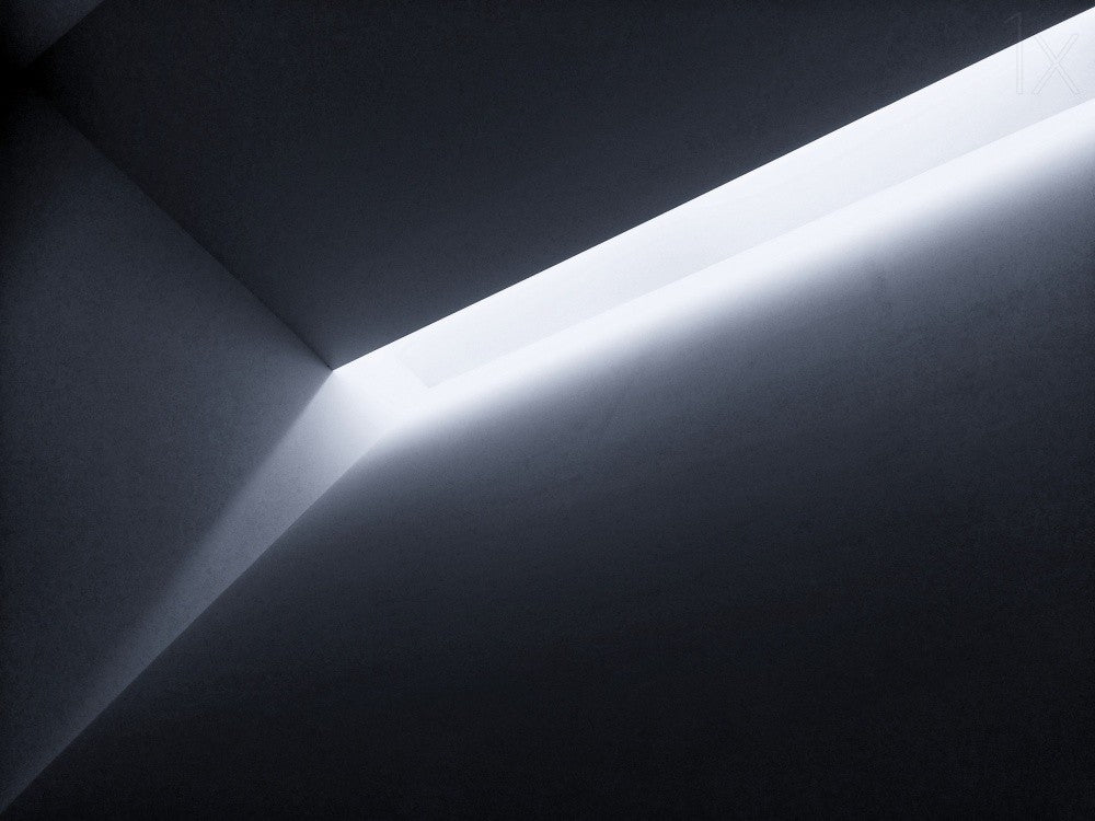 Let the Light In