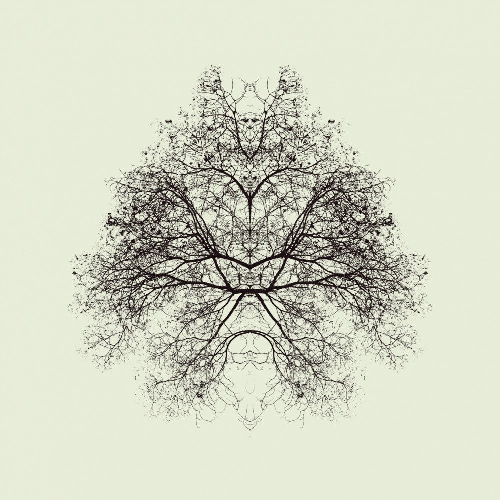 Rorschach Test