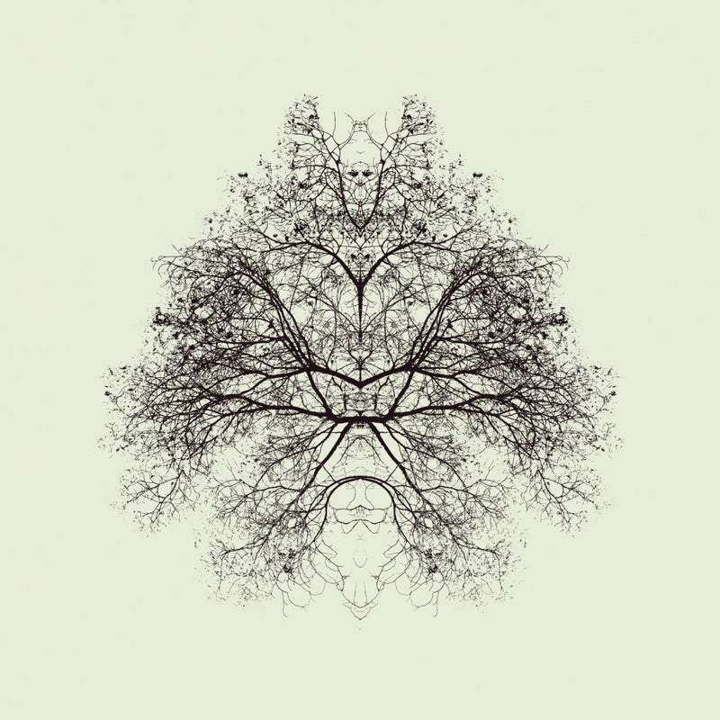 Rorschach Test