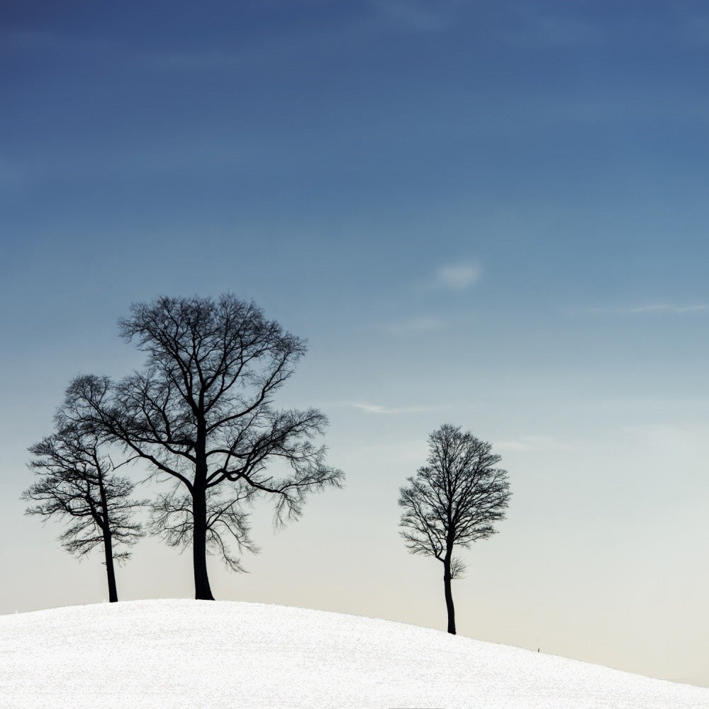 winter haiku