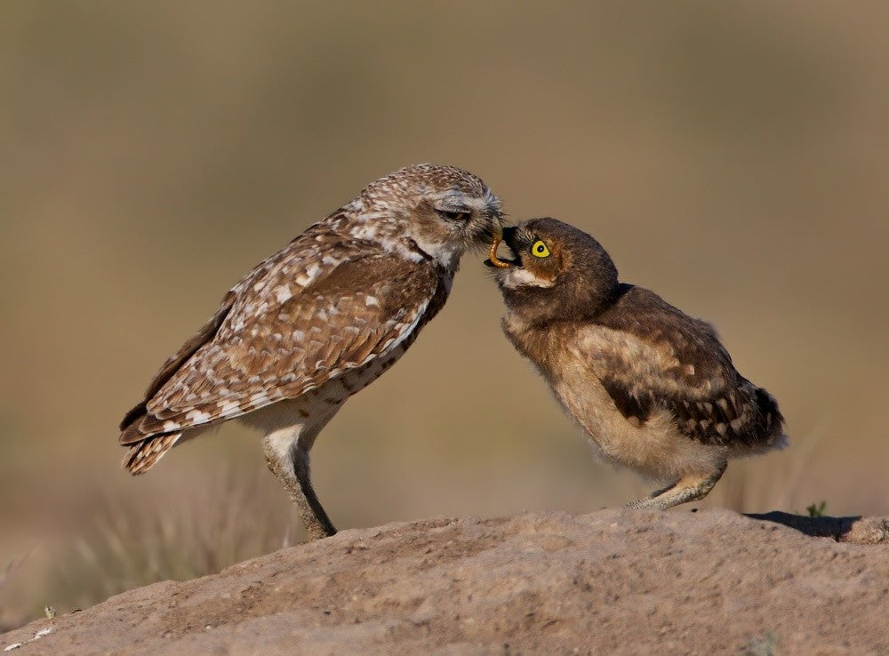 Tender mom-ment ...
