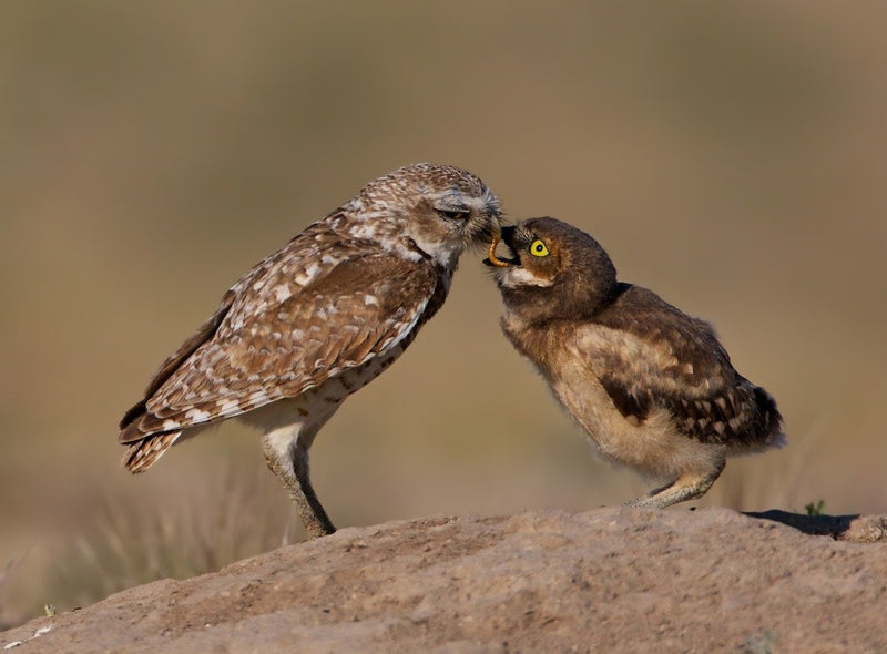 Tender mom-ment ...