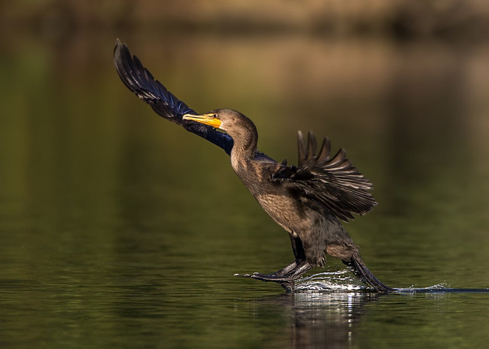 Superman's soft landing