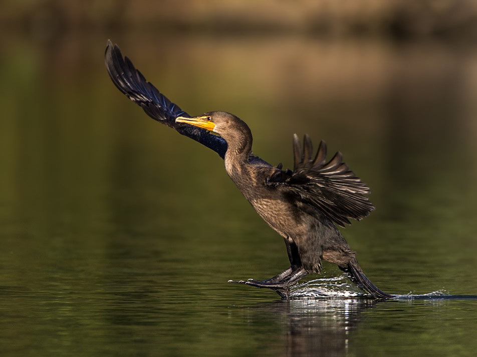 Superman's soft landing