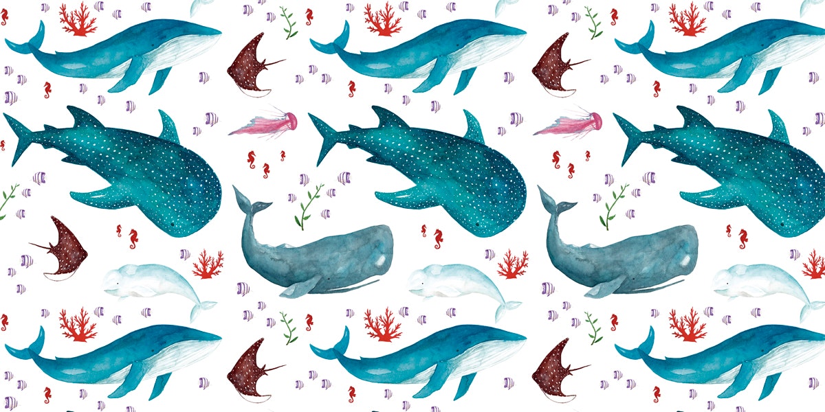 The Cosmic Whale - Banner image