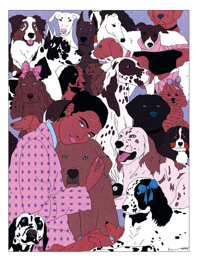 Dogs, Dogs, Dogs