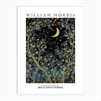 Set of 2 William Morris Moon and Stars