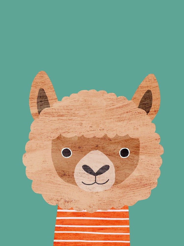 Alpaca Teal