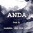 ANDA Design
