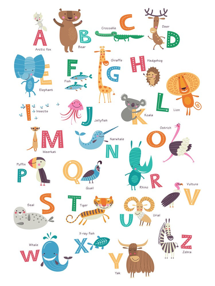 Animal Alphabet