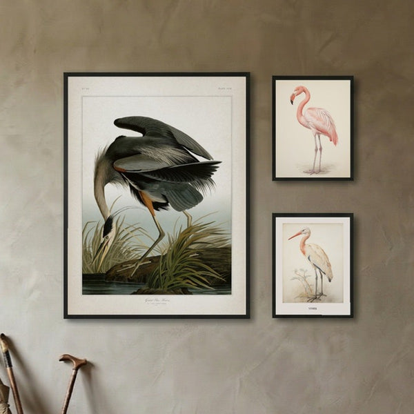 Audubon Aviary