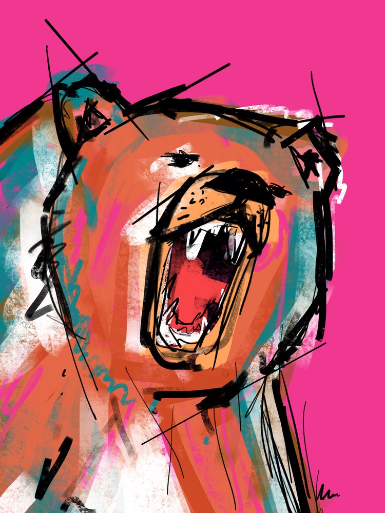 Bear
