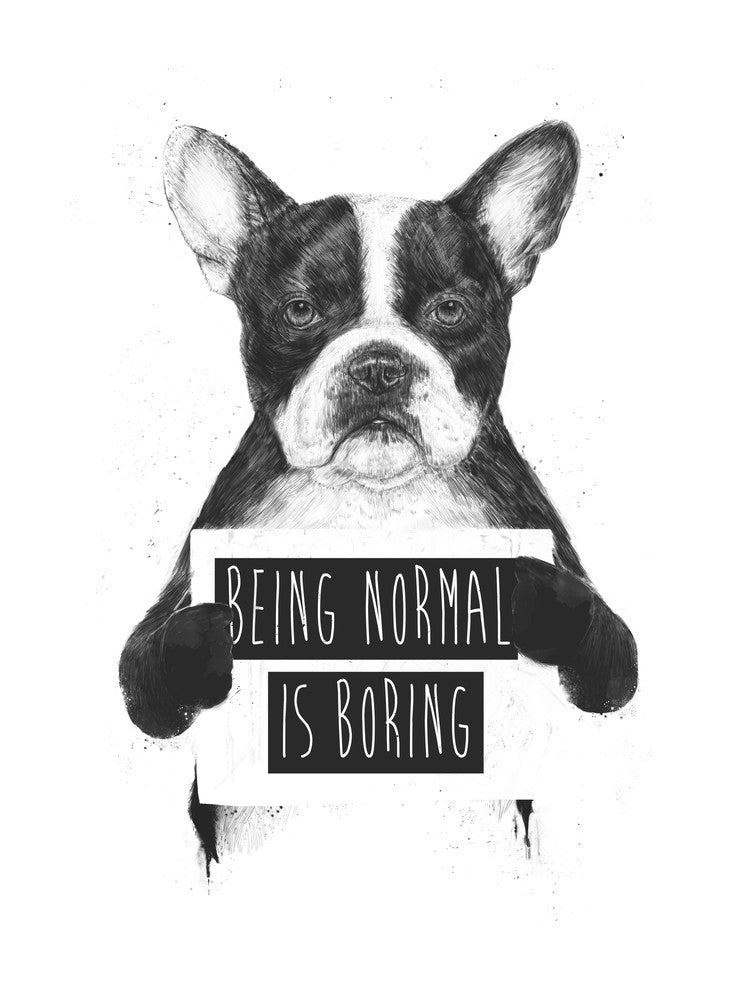 Being Normal Is Boring