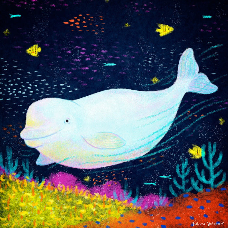 Beluga