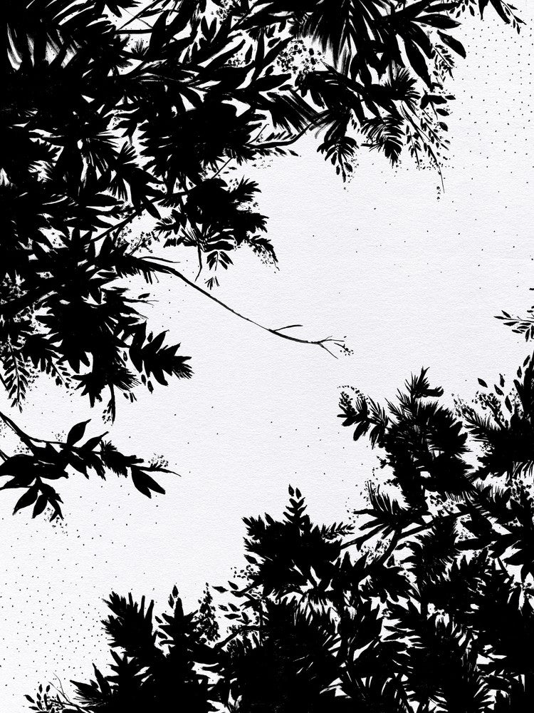 Black Night Sky