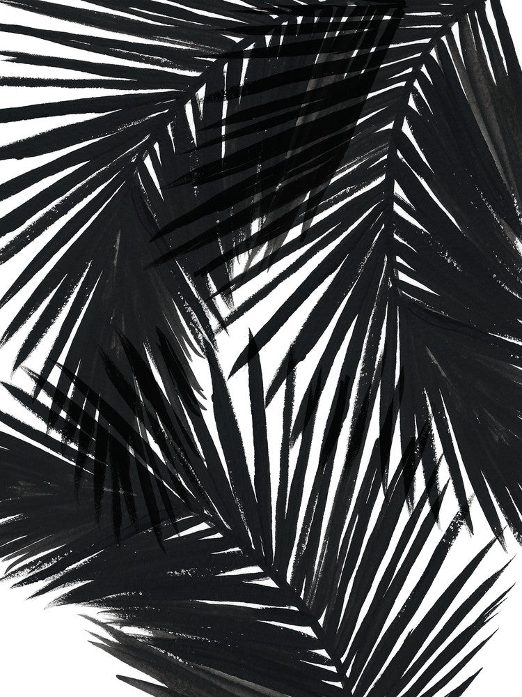 Black Palms