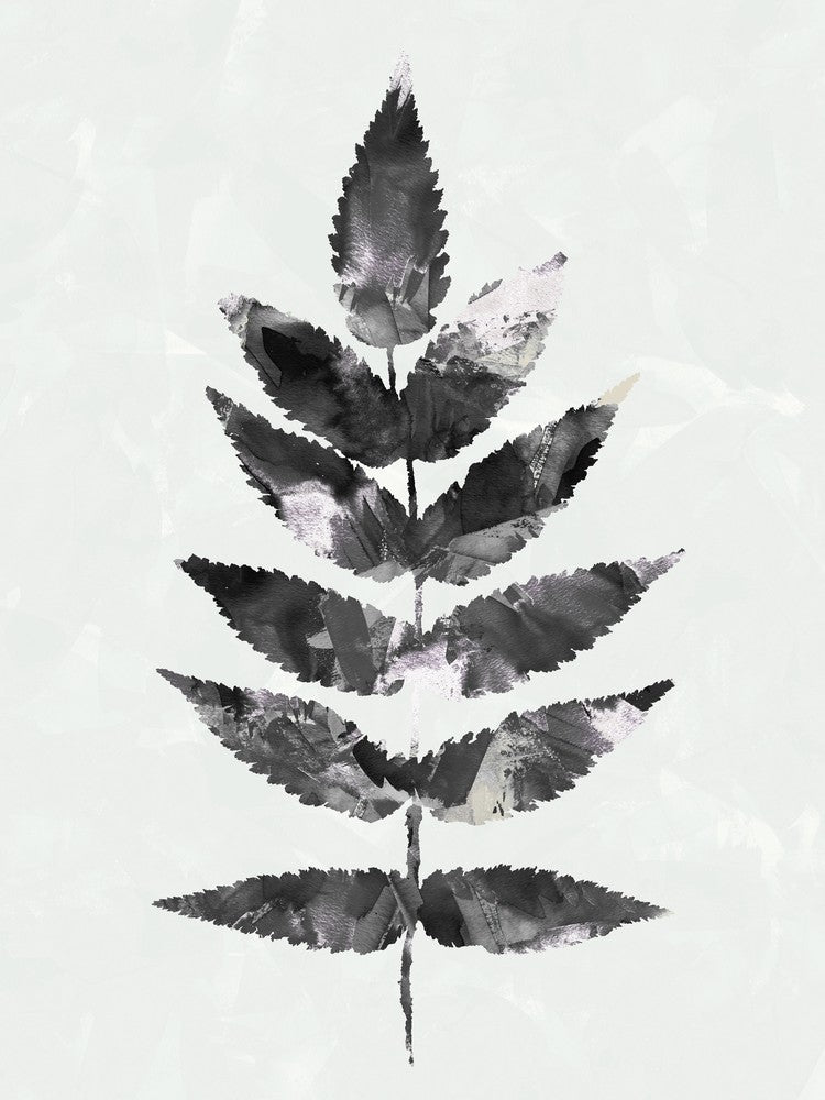 Black White Botanical Watercolour Leave