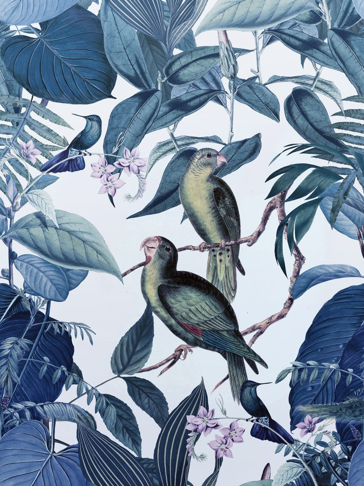 Blue Tropical Birds