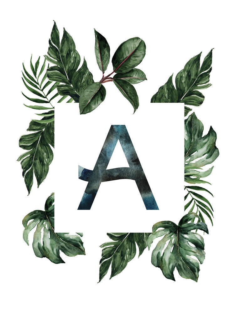 Botanical Alphabet A