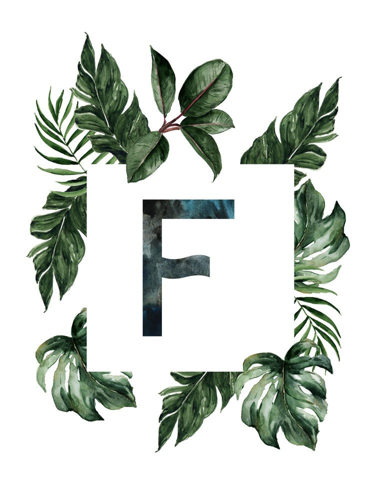 Botanical Alphabet F