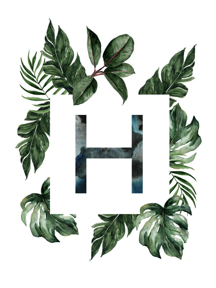 Botanical Alphabet H