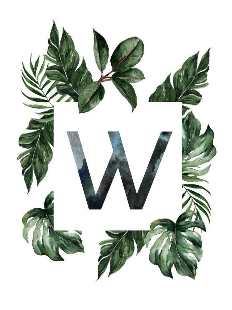 Botanical Alphabet W
