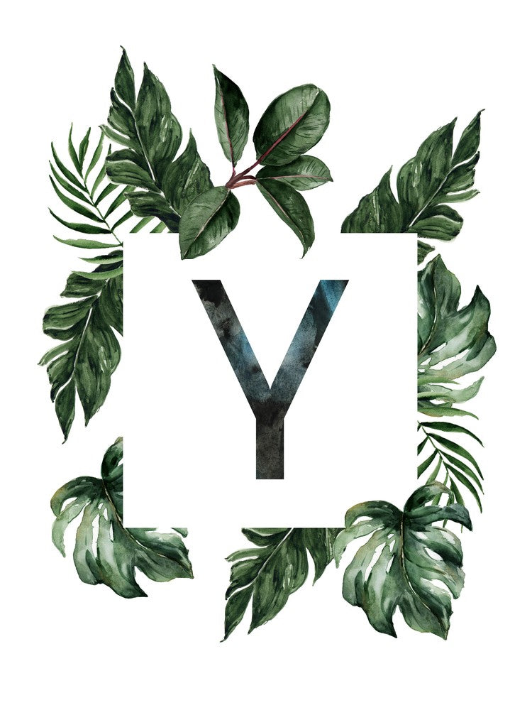 Botanical Alphabet Y
