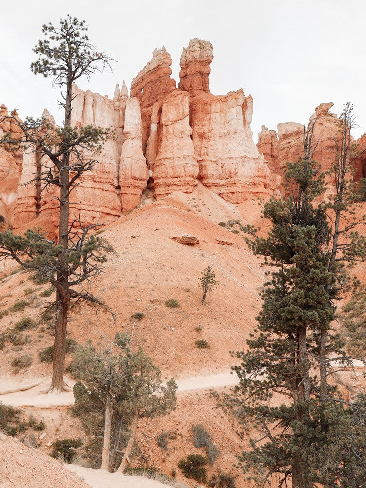 Bryce Canyon National Park