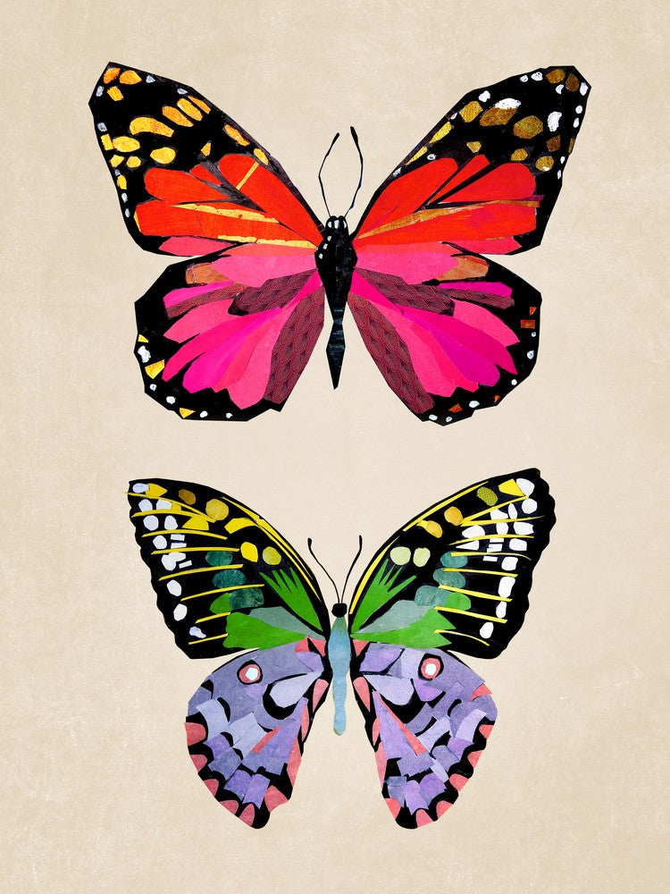 Butterflies