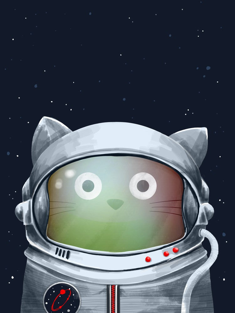 Cat Astronaut
