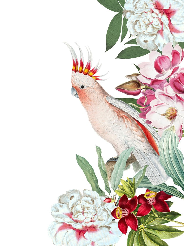 Cockatoo Vintage Floral