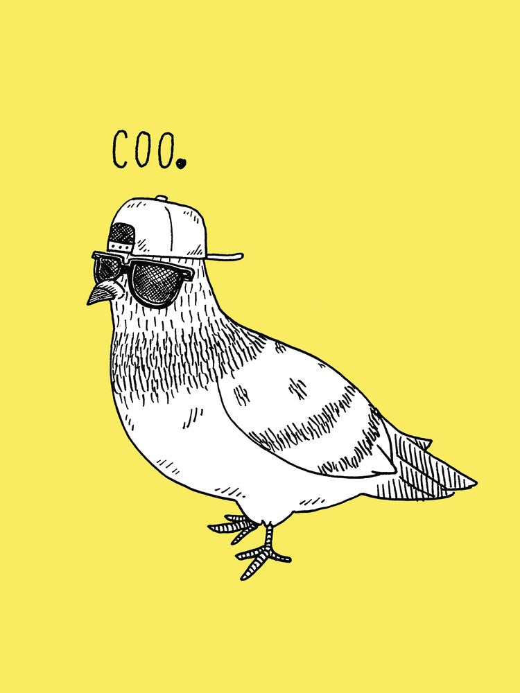 Coo