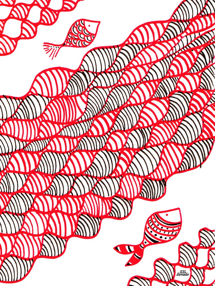Coral Fish