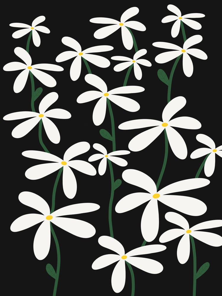 Daisy Meadow