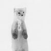 Dennis/Picart Liu