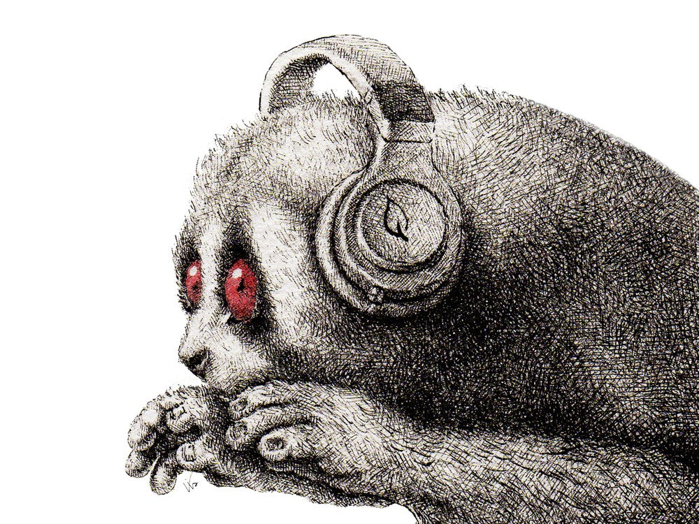 Dj Slow Loris