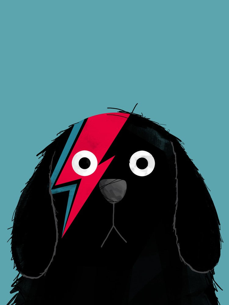 Dog Bowie Black
