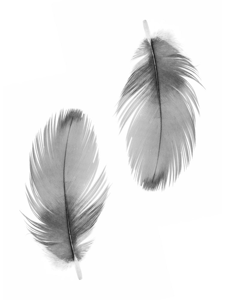 Double Feathers